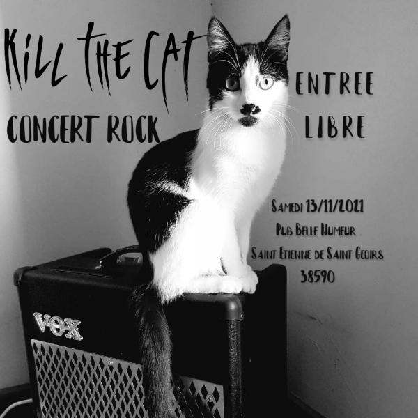 killthecat